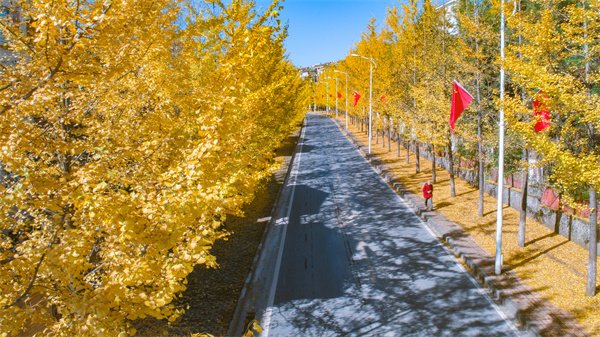 一眼就沦陷！重庆仙女山高颜值秋景上线