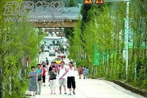 去年武隆旅游收入达65亿 万户从事旅游业