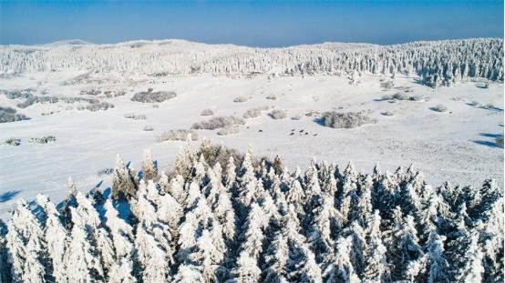 全区联动连夜除雪 今日武隆各景区畅通无阻