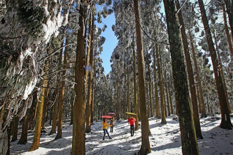 已立冬，你期盼的仙女山雪景正在赶来的路上