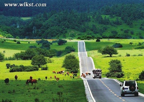 劳模5月可免费游览仙女山