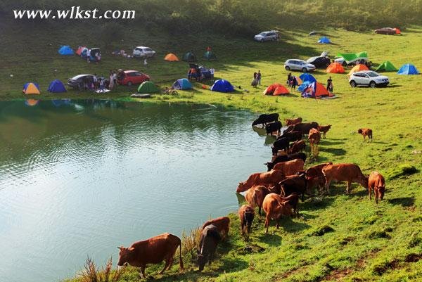 仙女山清凉星空之旅，跟高温say goodbye！
