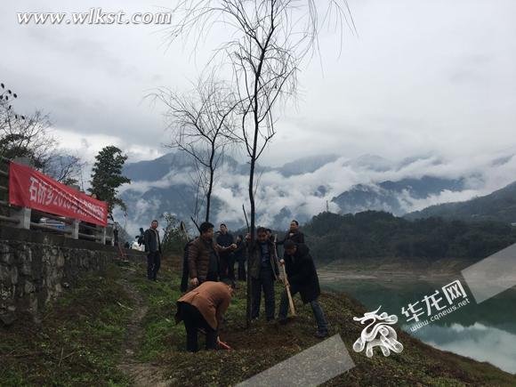 武隆开展新春第一场“播种” 今年计划造林30万亩
