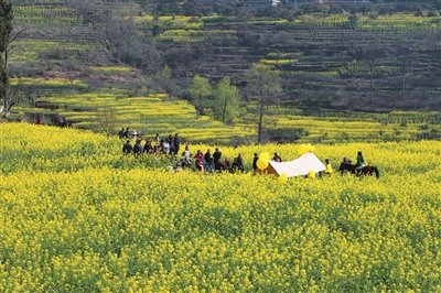 羊角街道松树村第二届乡村旅游“走马观花”节举办