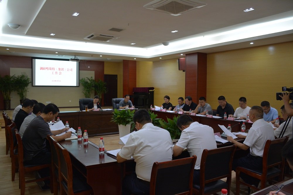 区长卢红调研武隆喀斯特公司 要求全力推进武隆旅游高质量发展