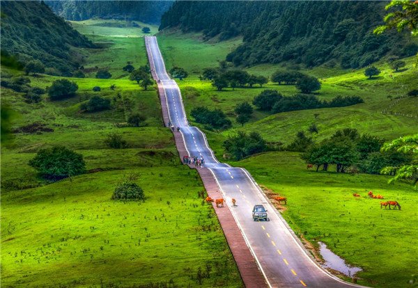 书画频道进万家大型文化活动本月中旬走进武隆