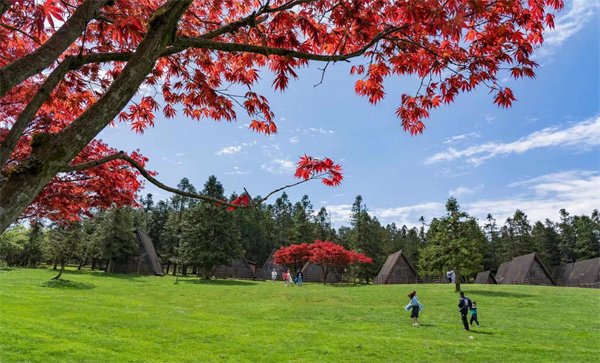 “川渝一家亲 景区惠民游”活动启动 十万余张武隆景区门票免费送