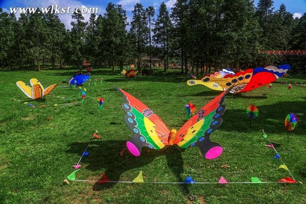 2016仙女山风筝节游玩指南（时间、看点、交通等）