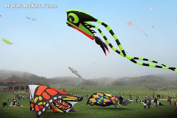 2015仙女山风筝节.jpg
