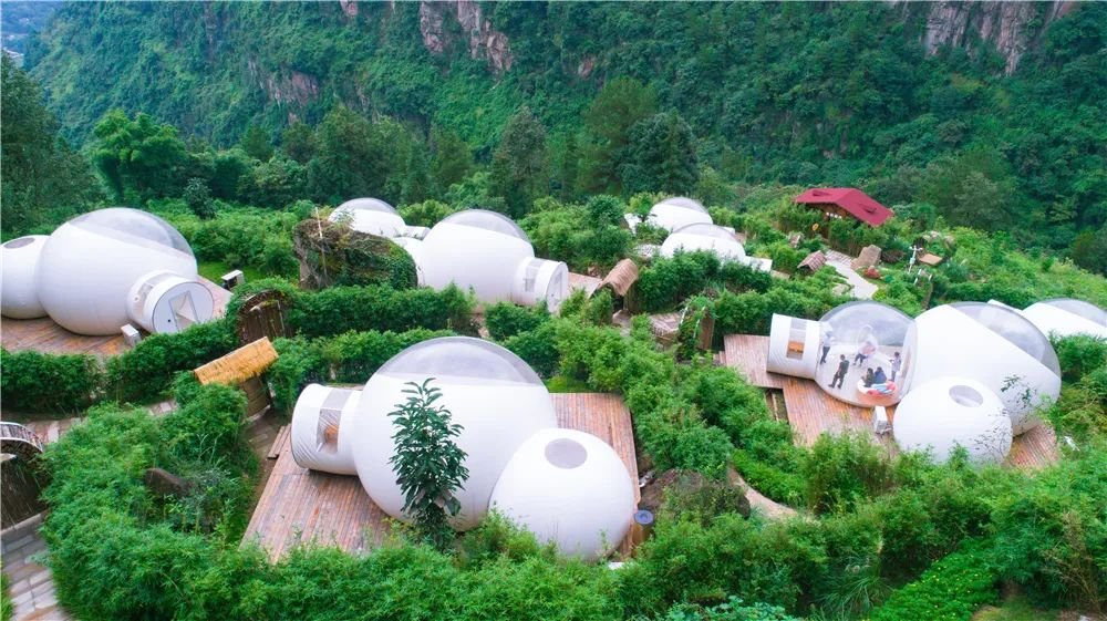 赞！武隆新增1家国家农民合作社示范社