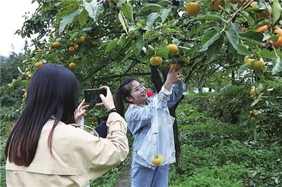 武隆“双晒”推介（四）