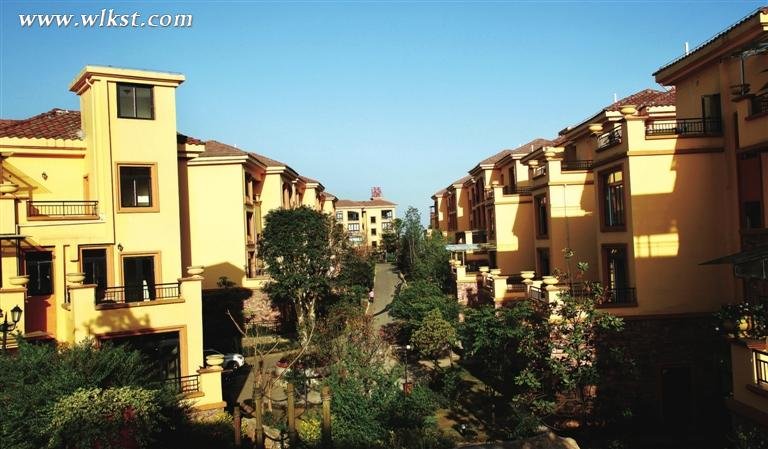 “全国最美镇”——仙女山镇蝶变的最短路径