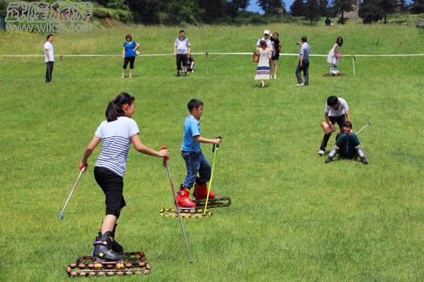 浓情端午全家出游 仙女山景区孩子玩得欢