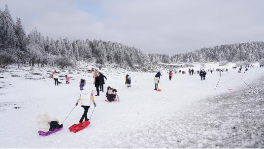 仙女山迎2022第一场强降雪 周末耍雪滑雪走起
