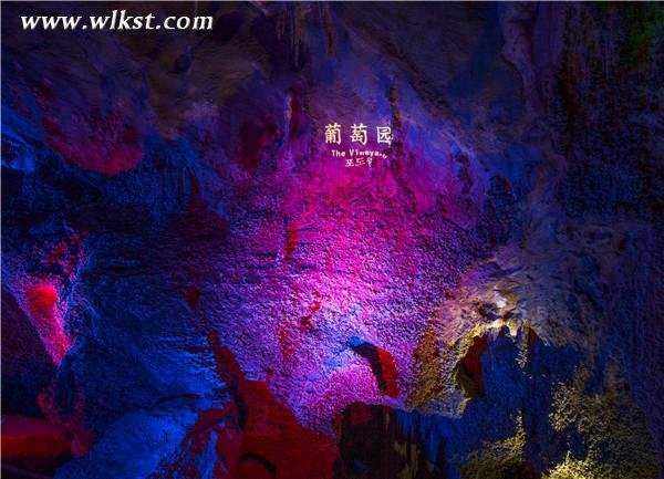 新增景点—葡萄园