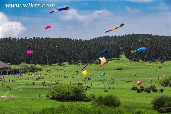  仙女山高山国际风筝季已成为重庆旅游业的一张靓丽名片。(王俊杰/摄)