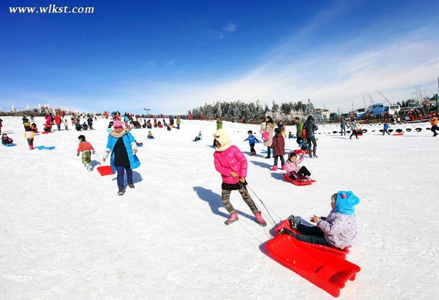 仙女山雪地玩法多 滑雪撒欢玩“光猪跑”