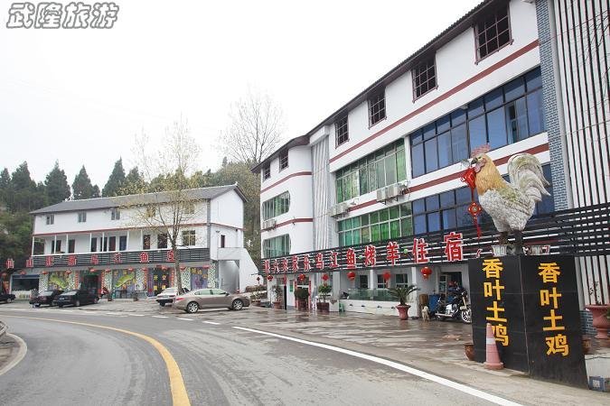 游武隆，吃绿色农产品