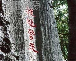 武隆人文之黔蜀门屏石刻