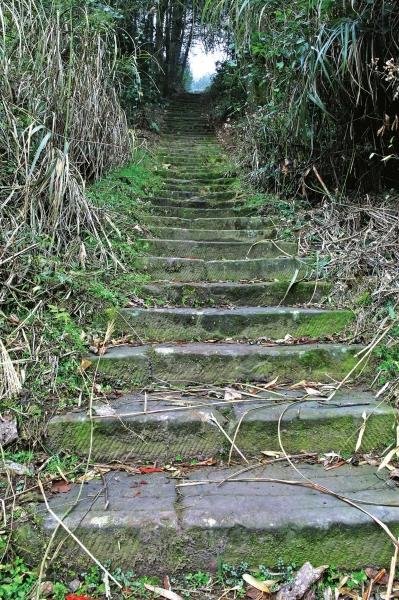 百步石梯 沈华平/摄