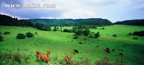 喀斯特老了会怎样？仙女山一如人生