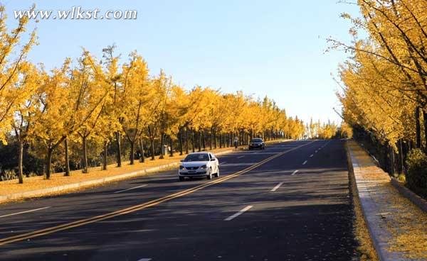 谁偷走了我的秋天（外二章）