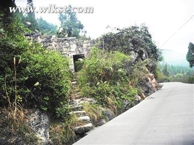 武隆区长坝镇：石梁河水绿 峡谷风光美