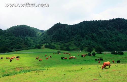 中秋节去哪儿 武隆6大经典旅游线你知道吗？