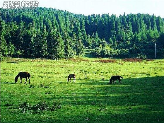 福州到武隆双飞四日游