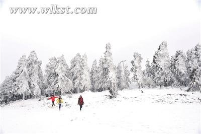 白马山——冬日里的浪漫乐园