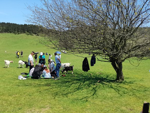 速速收藏！武隆旅游全攻略，景点、交通...都在这
