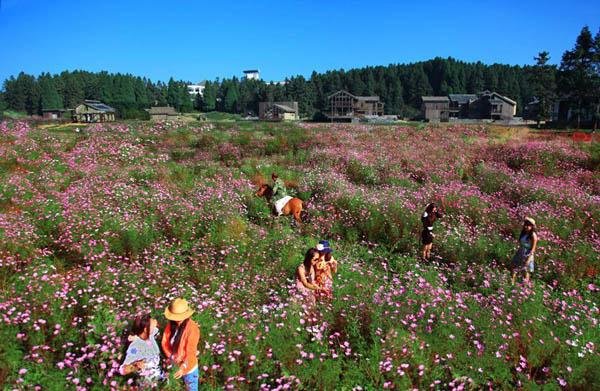 11月淡季出游，武隆自由行必知攻略