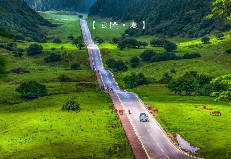 重庆武隆仙女山最全旅游攻略