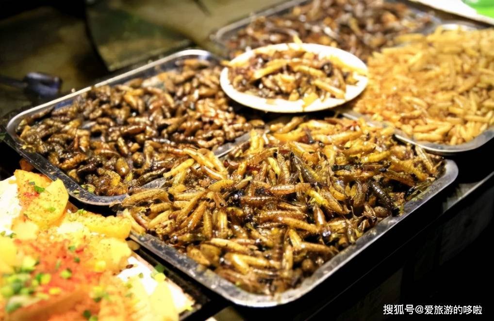 山东人：来，一起吃虫