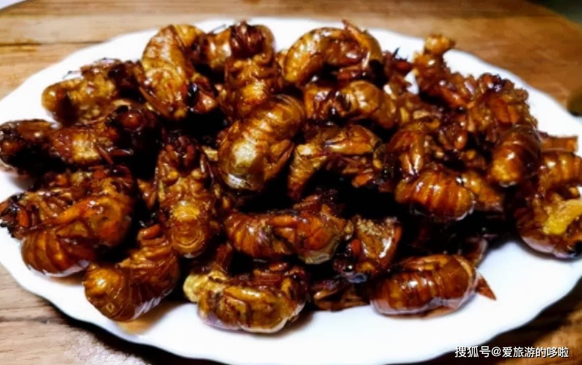 山东人：来，一起吃虫