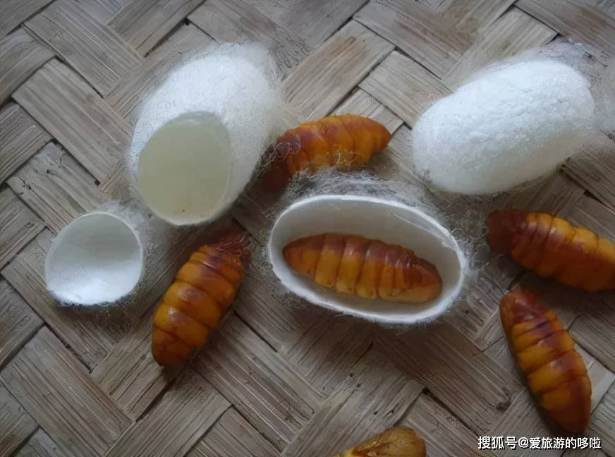 山东人：来，一起吃虫