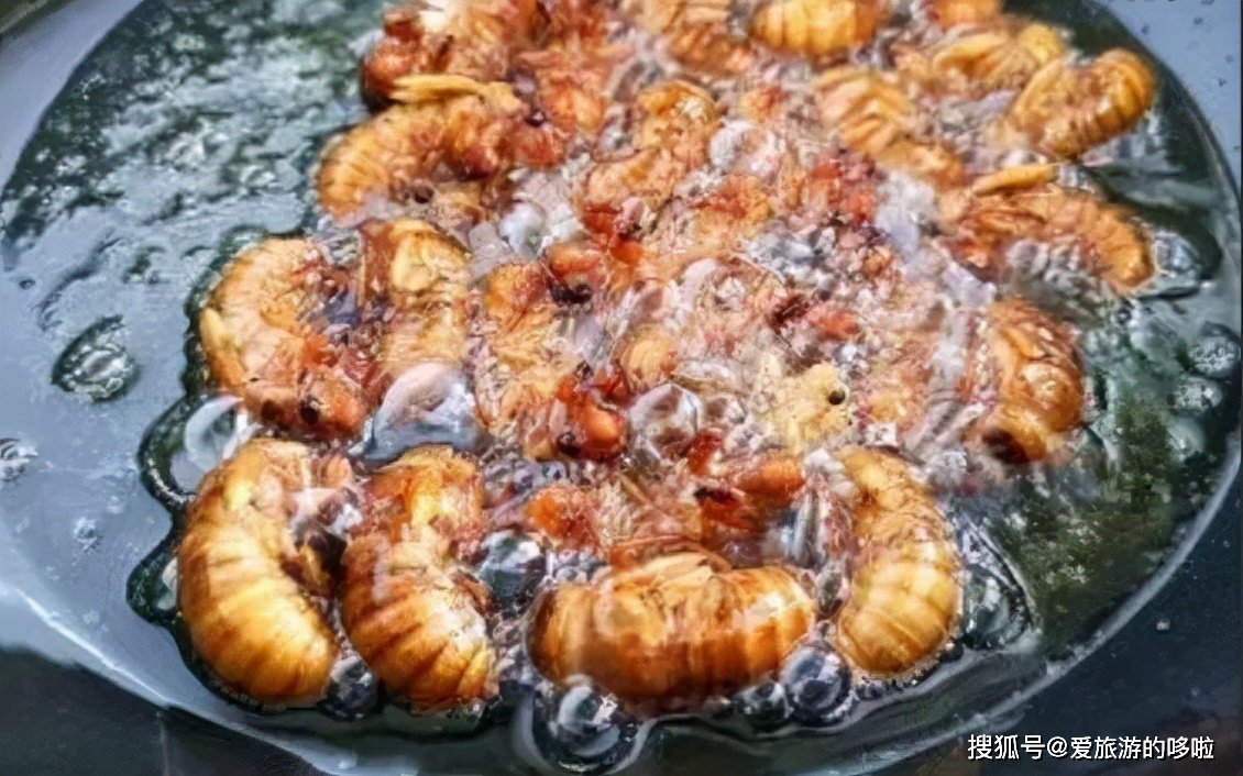 山东人：来，一起吃虫