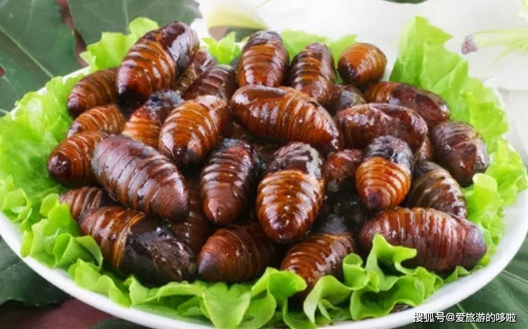 山东人：来，一起吃虫