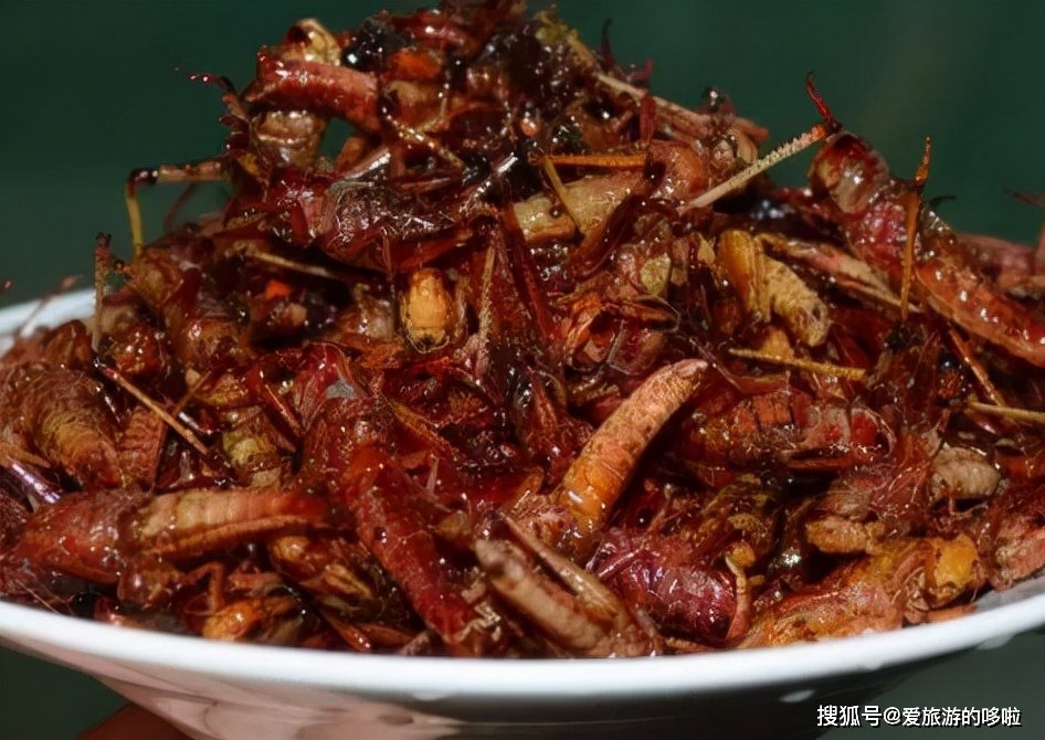 山东人：来，一起吃虫