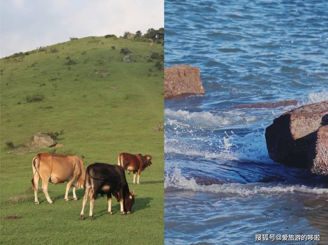 三块钱吃闽南古早味？！珍藏已久的福建宝藏小城，忍痛分享给你