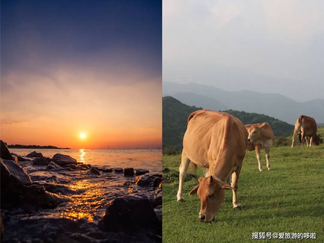 三块钱吃闽南古早味？！珍藏已久的福建宝藏小城，忍痛分享给你