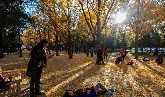 京城深秋的味道，幸福其实很简单