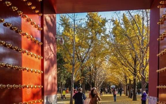 京城深秋的味道，幸福其实很简单