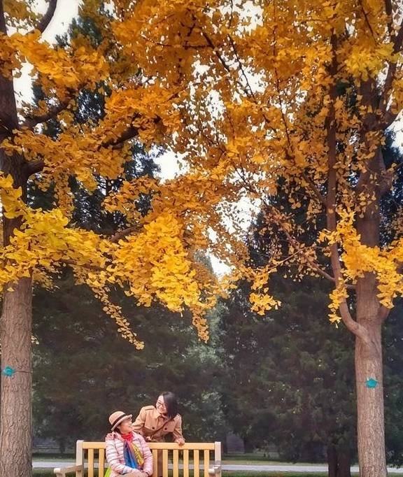 京城深秋的味道，幸福其实很简单