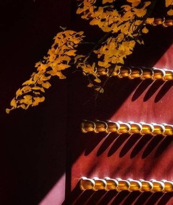 京城深秋的味道，幸福其实很简单