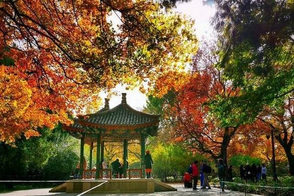 京城深秋的味道，幸福其实很简单