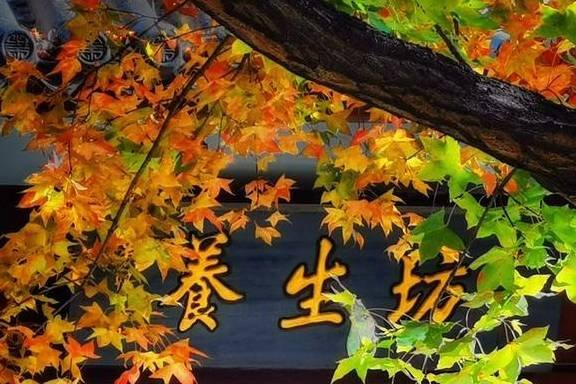 京城深秋的味道，幸福其实很简单