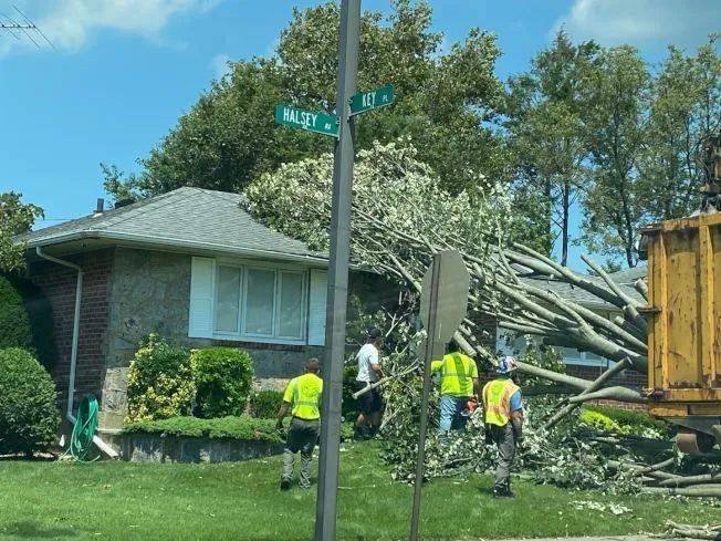 纽约大断电…发电机售罄只能买冰块保存食物
