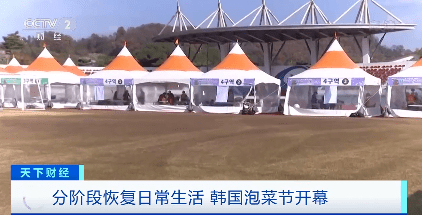 “泡菜季”白菜价格上涨超53%！韩国主妇愁了......