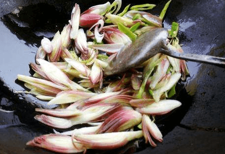 原创南方1种野菜,叶子似生姜,我国很少人吃,出口日本被称亚洲人参 原创南方1种野菜,叶子似生姜,我国很少人吃,出口日本被称亚洲人参